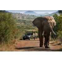 Pilanesberg Safari in Open Vehicle from Johannesburg or Pretoria