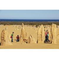 pinnacles day trip from perth including caversham wildlife park and la ...