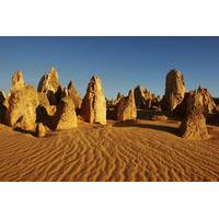 Pinnacles Day Trip from Perth Including Yanchep National Park