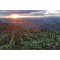 Pijao and Cordoba with Coffee Tasting