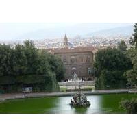 Pitti Palace and Boboli Gardens Private Tour