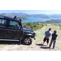 Picton Shore Excursion: Gondola Hill 4WD Tour