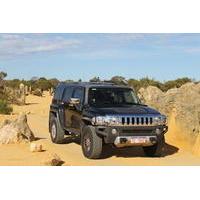 pinnacles 4wd hummer day tour from perth including moore river guilder ...