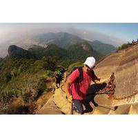 pico da tijuca hiking tour in tijuca forest national park