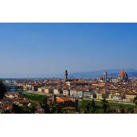 Piazzale Michelangelo Panoramic Private Walking Tour