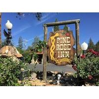 Pine Rose Inn