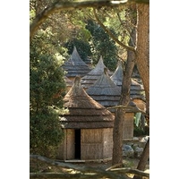 Pine Beach Pakostane - All Inclu...