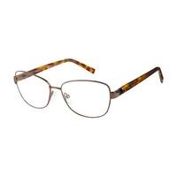 pierre cardin eyeglasses pc 8829 nti