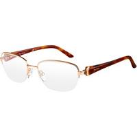 Pierre Cardin Eyeglasses P.C. 8798 4HL