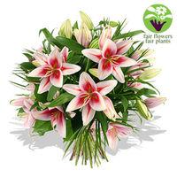 Pink Lily Bouquet - flowers