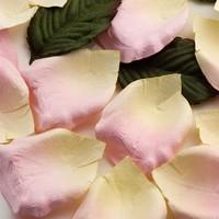 Pink Ombre Rose Petals
