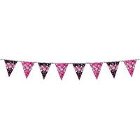 pirate girl party flag banner