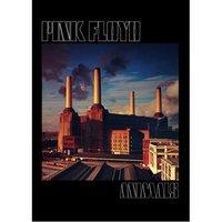 pink floyd animals postcard