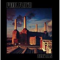 pink floyd animals official greeting card