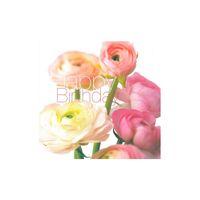 Pink Ranunculus Greeting Card