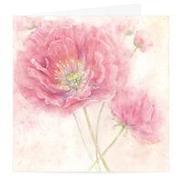 Pink Poppy