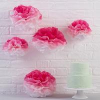 Pick and Mix Pink Ombre Pom Poms