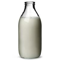 pint milk bottle 20oz 580ml single