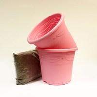 Pink Container x 2 & Compost Kit