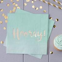 Pick and Mix Mint Green Ombre Paper Party Napkins