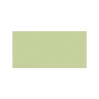 Pistachio Gloss Oblong (PRG40) Tiles - 200x100x6.5mm