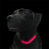 Pink Light Up Dog Collar