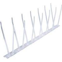 Pigeon spikes Swissinno Taubenabwehr-Spikes 300 cm 1 pc(s)