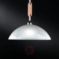 Pinza Hanging Light Modern