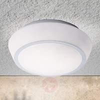 Pia Glass Ceiling Light IP44 30 cm