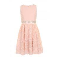 pink embellished lace party dress