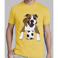 pit bull
