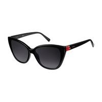 Pierre Cardin Sunglasses P.C. 8445/S 807/9O