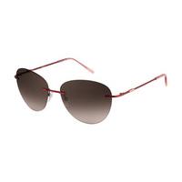 Pierre Cardin Sunglasses P.C. 8825/S FLM/K8