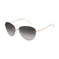 Pierre Cardin Sunglasses P.C. 8825/S 03O/AE