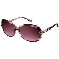 Pierre Cardin Sunglasses P.C. 8424/S DLY/D8
