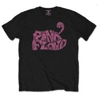 pink floyd swirl logo