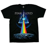 Pink Floyd - Dark Side Invasion