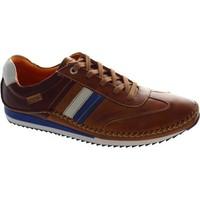 Pikolinos Liverpool M2A-6072C1 men\'s Shoes (Trainers) in brown