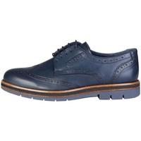 pierre cardin cm 6004 bleu mens casual shoes in blue