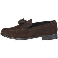 pierre cardin constant brun mens loafers casual shoes in brown