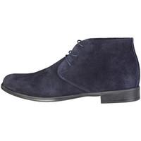 pierre cardin eusebe bleu mens casual shoes in blue