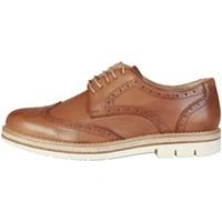 pierre cardin cm 6004 cuir mens casual shoes in brown