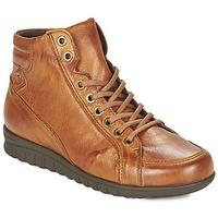 Pitillos 2422 women\'s Shoes (High-top Trainers) in brown