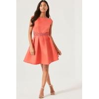 Pink Fit and Flare Dress