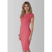 pink ponte bodycon dress