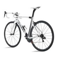 Pinarello Dogma F8 Road Frameset - 685 Carbon/White/Black - 55cm