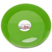 Plastic Plate