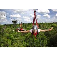 Playa del Carmen Adventure Tour at Selvatica: Zipline, Aerial Bridge, Buggy, Bungee Swing and Cenote Swim