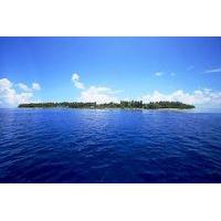 Plumeria Boutique Guest House