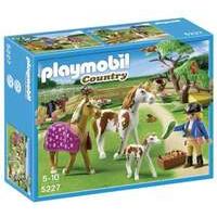 Playmobil Paddock with Horses and Foal